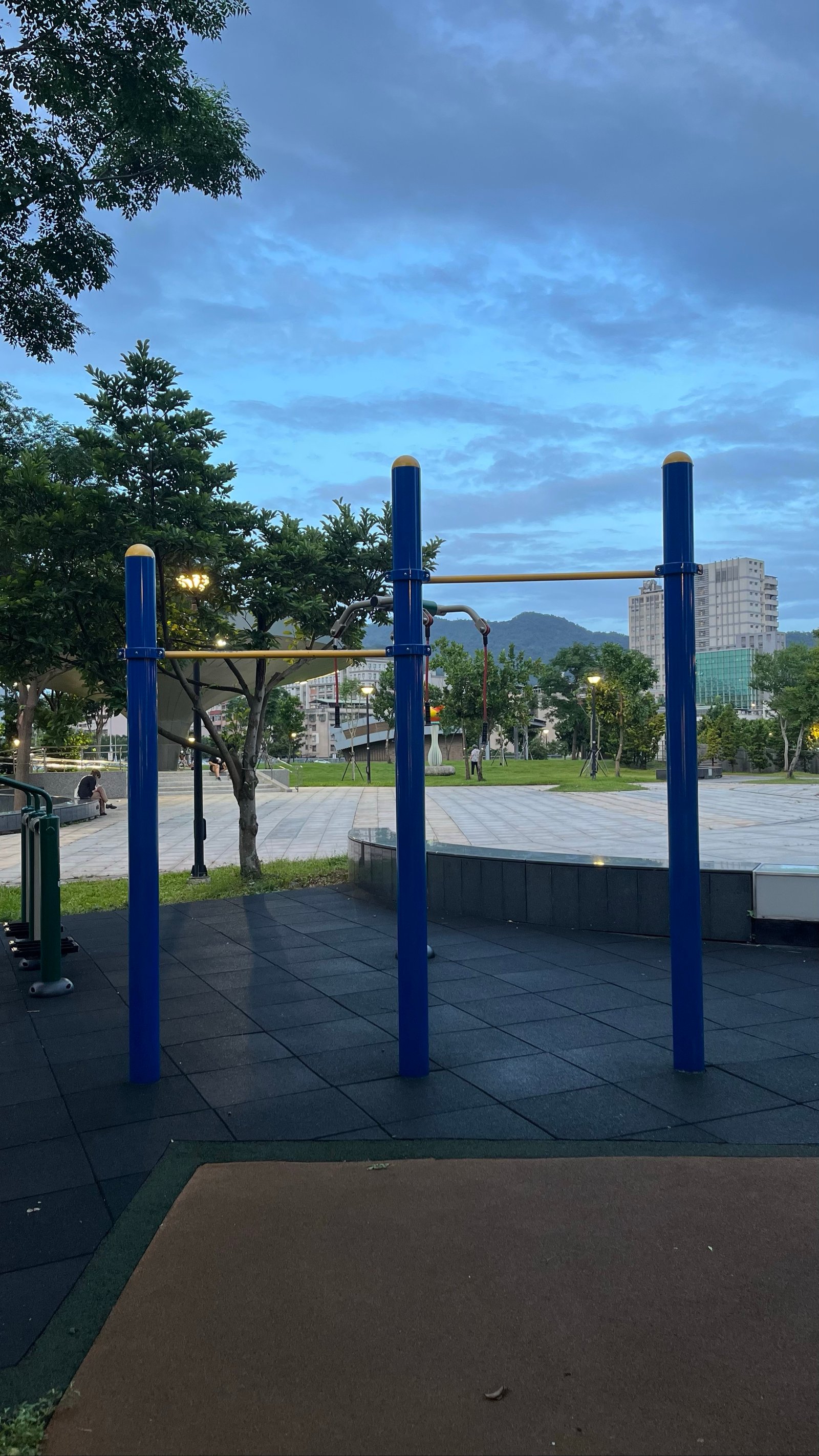 Pull-up bar spot in Xinyi District, Taipei City