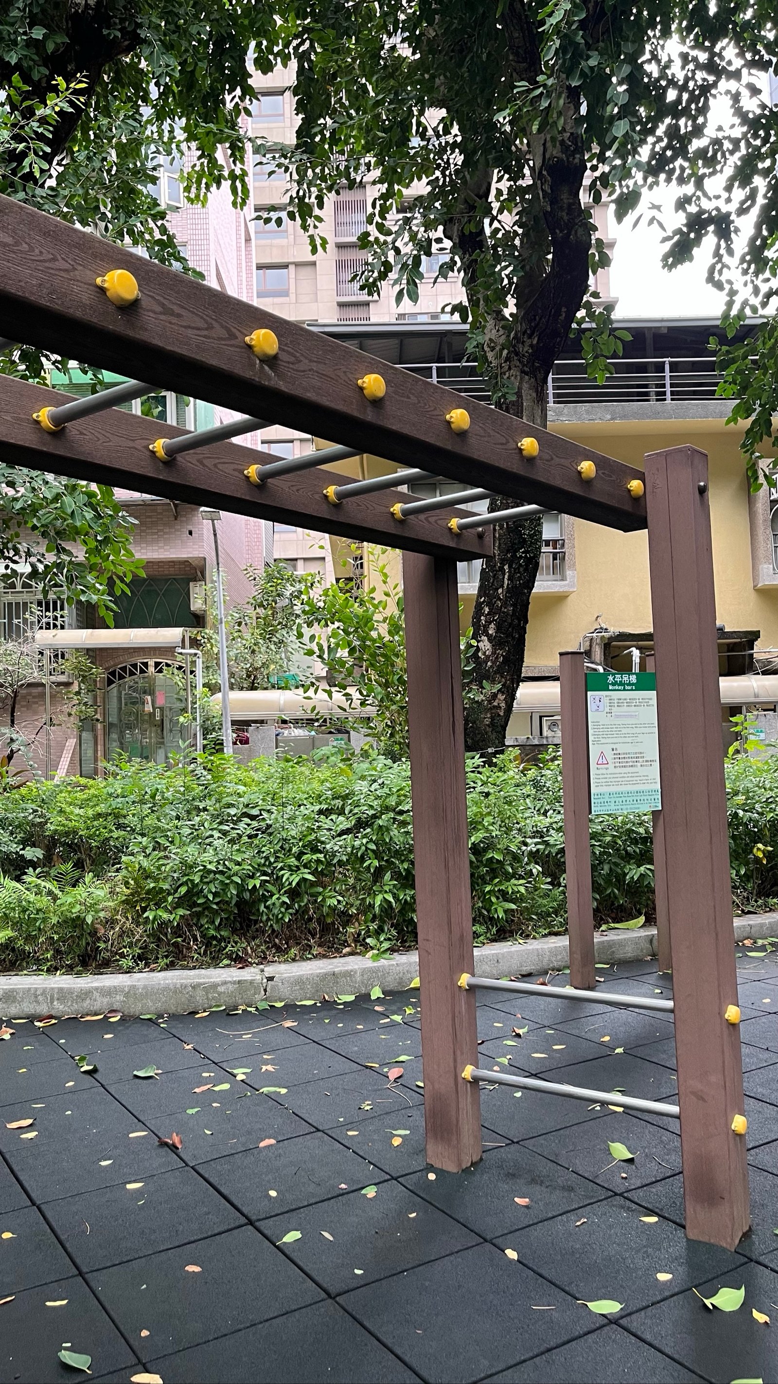 大人的猴架 - 齊東公園