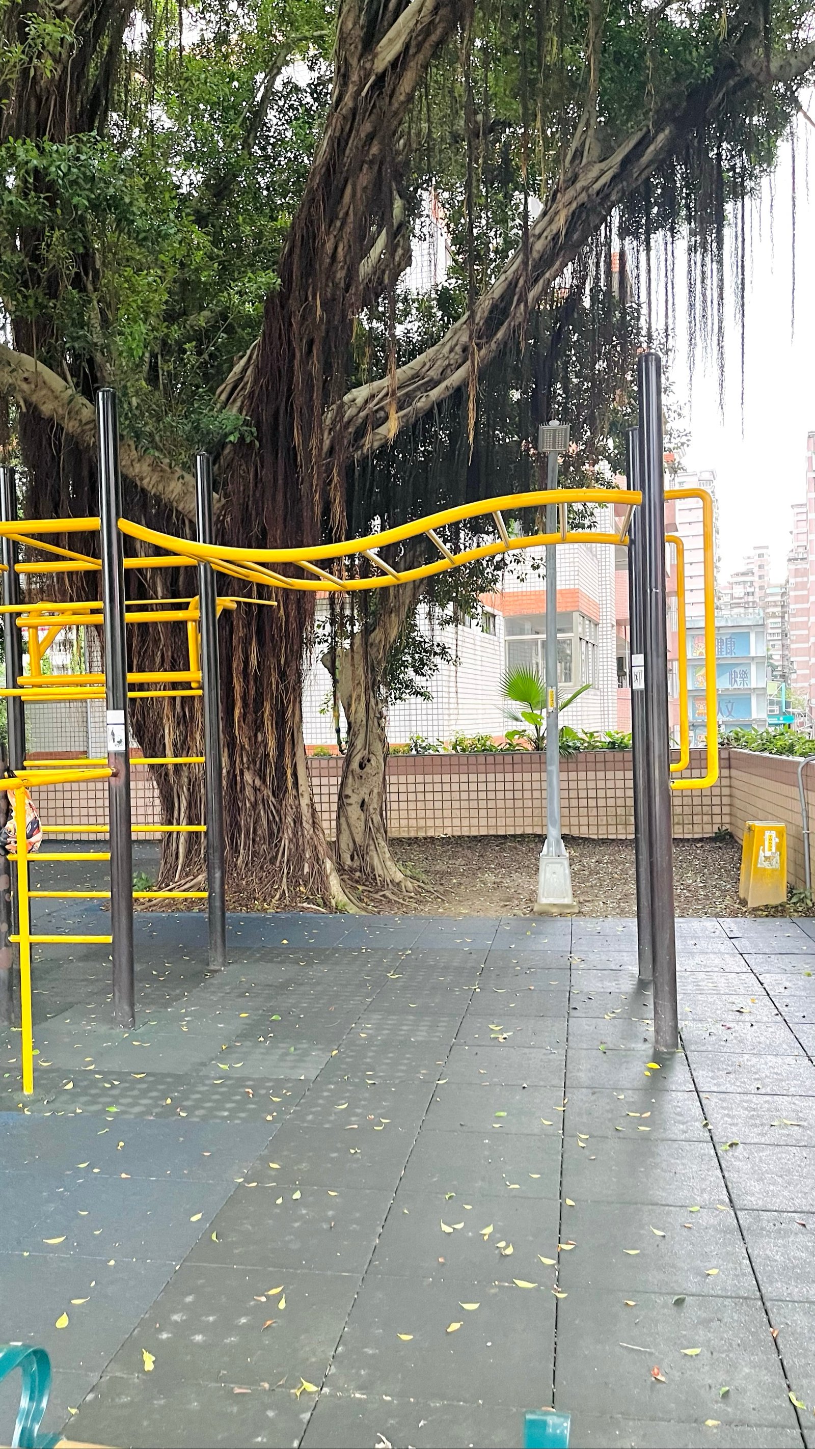 土城區綜合運動場