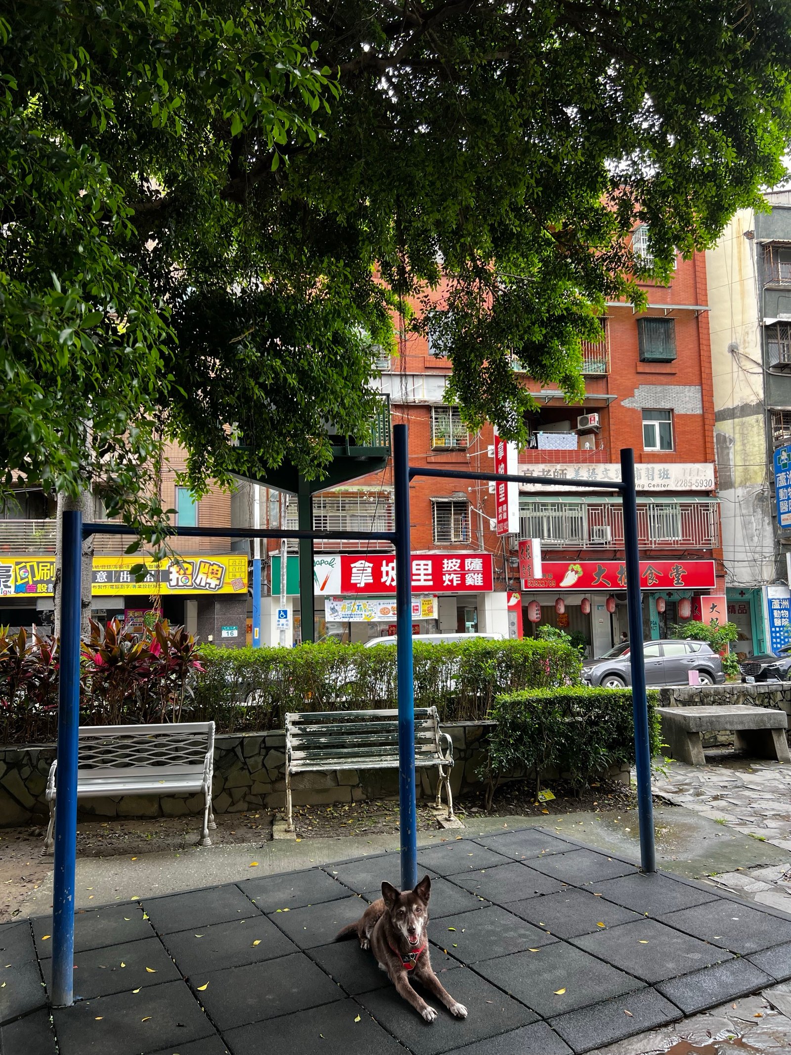 三角綠地