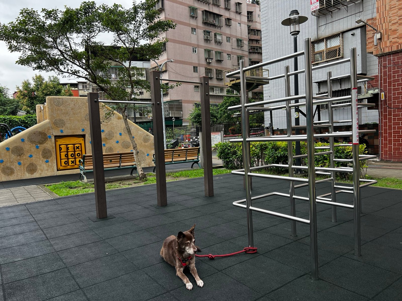 Jiusan Parent-Child Park