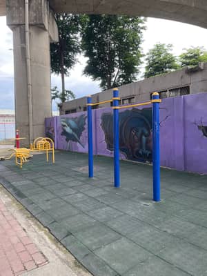 高度不錯，只是路邊挺吵的 - 新北市板橋區 單槓健身地點