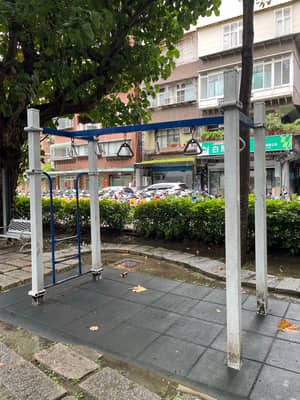 吊環高度160伸手可碰到 - Liuzhang Park