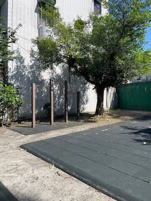 中央公園