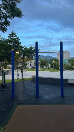 Pull-up bar spot in Xinyi District, Taipei City