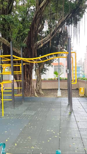 土城區綜合運動場