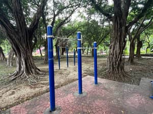 板橋環河公園單槓