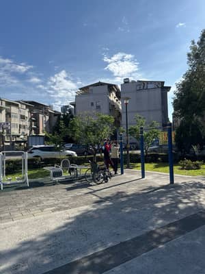 大興里簡易公園 Daxinglijianyi Park