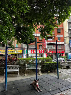 三角綠地