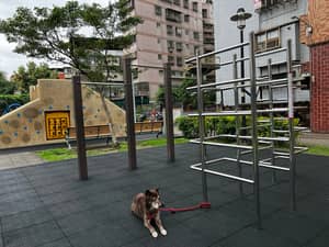 Jiusan Parent-Child Park