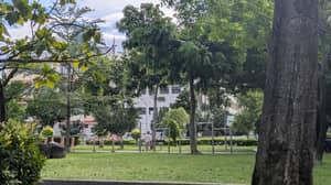 實地拍攝 2026-07-20：單槓＋體健器材（腰扭轉環） - Minquan Park