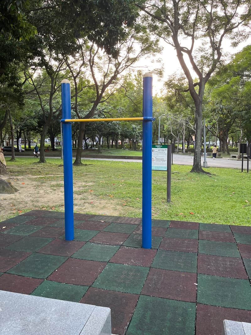 這個公園單槓有兩處，距離十幾公尺而已 - 林森公園