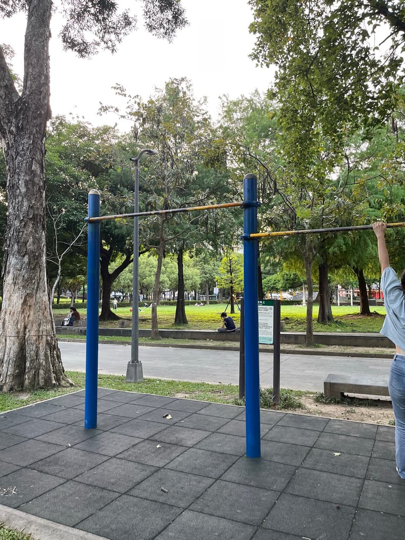 一次可以掛兩個人的寬單槓 - 林森公園