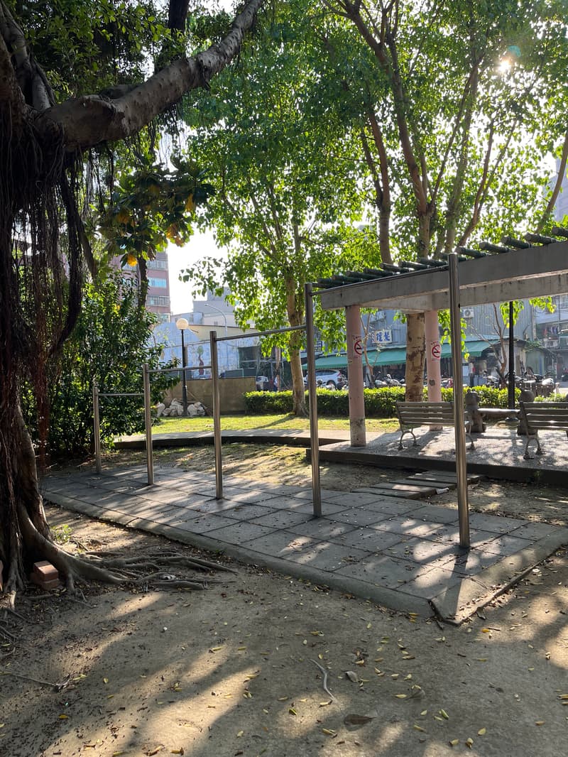 最高的槓160公分的人跳用力一點就抓的到 - 三重六合公園