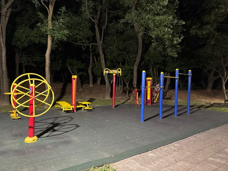 Long gang wan ping Park