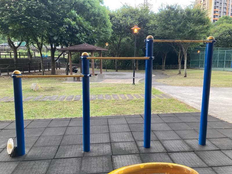 雖有明顯剝漆，但沒到傷皮的地步 - 原住民公園