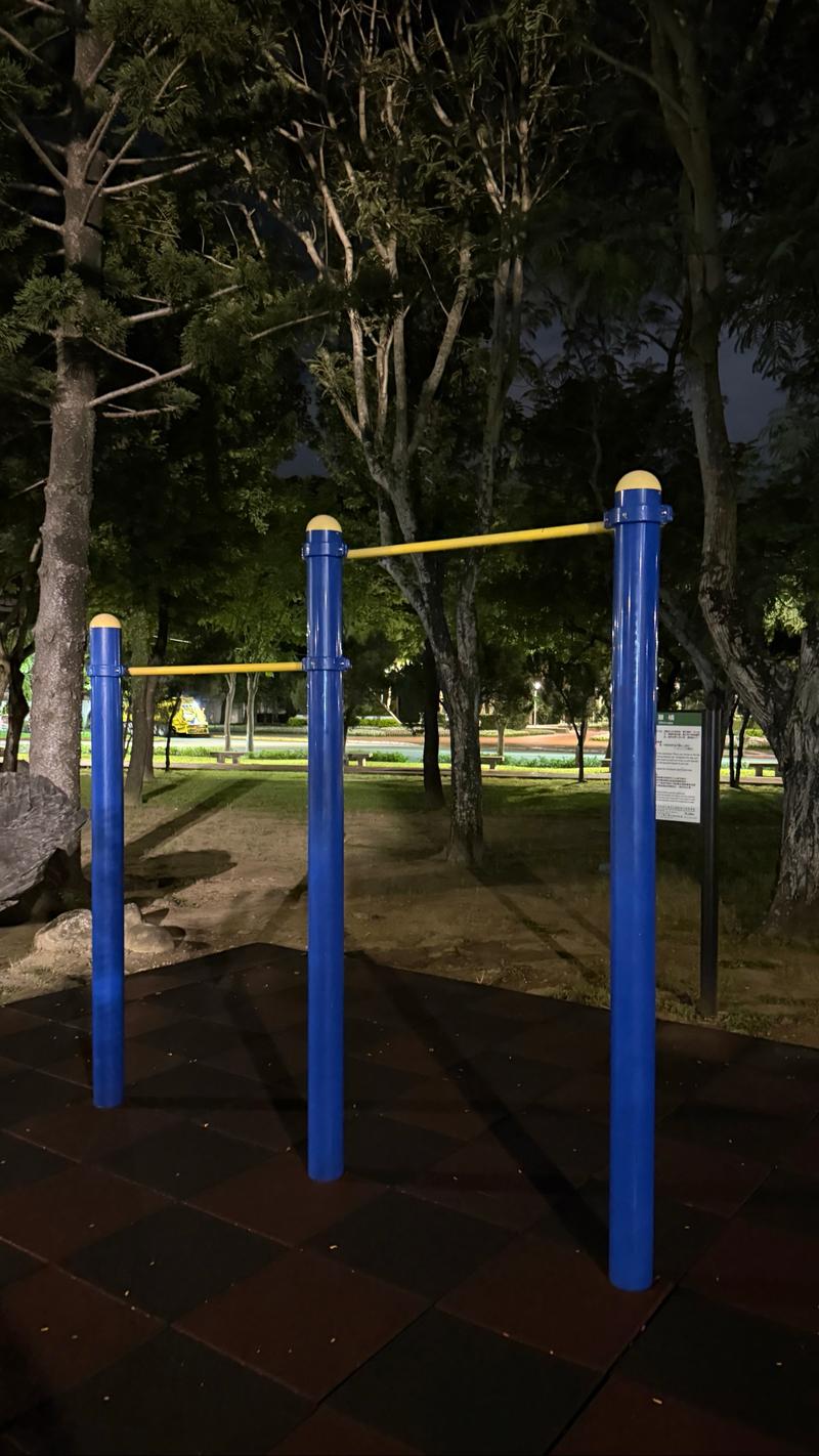 Fulin Park Inclusive Playground